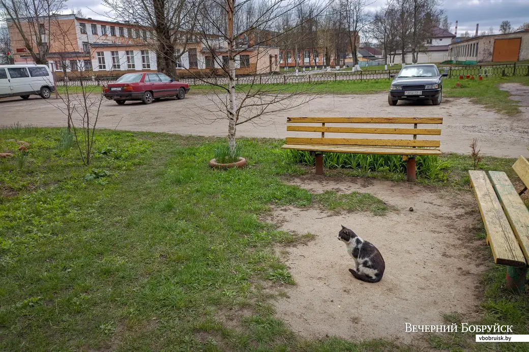 27.04.2021. Бобруйск. Жилая застройка в районе средней школы №19