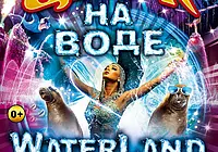В Бобруйск приезжает цирк на воде с новой программой «Waterland»