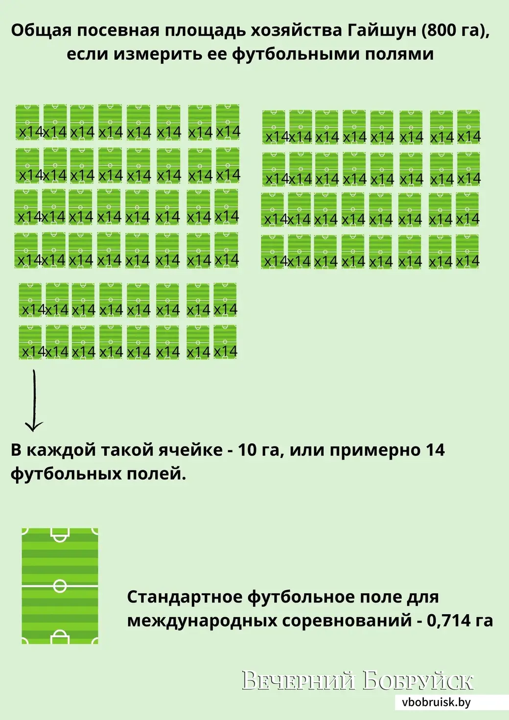 Для того, чтобы показать, как много работы в хозяйстве «Гайшун», мы измерили посевную площадь их хозяйтсва футбольными полями
