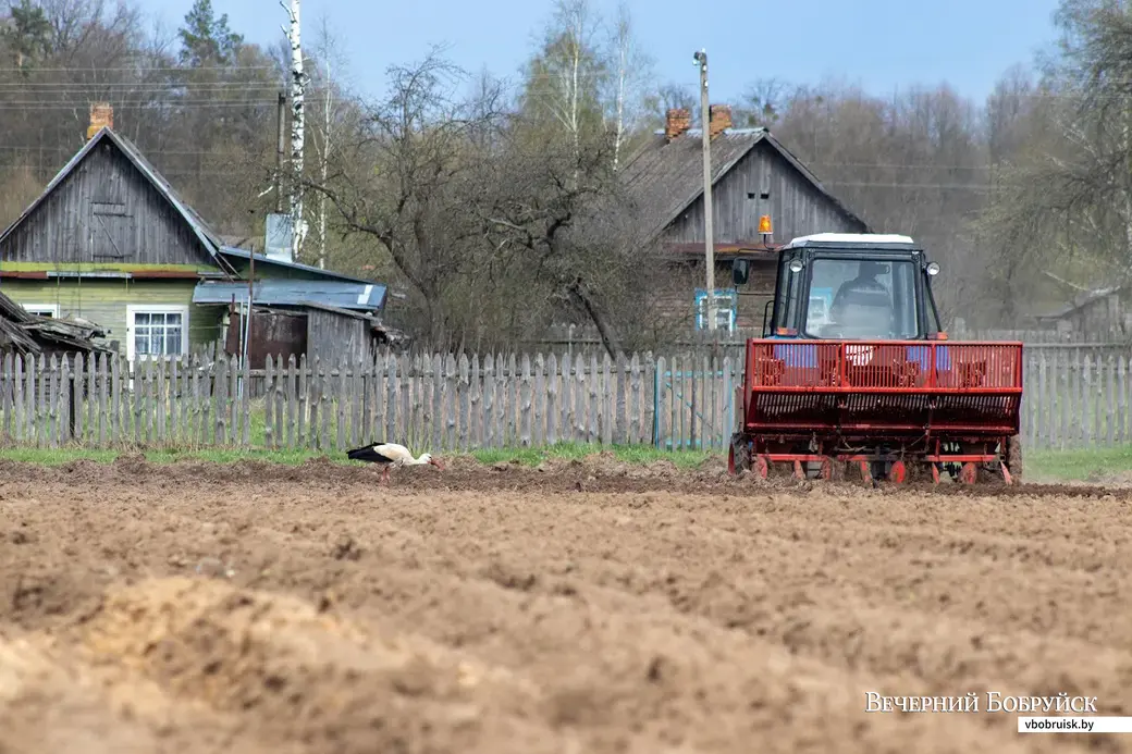 Майские этюды. Поселок Брожа и окрестности. Фото: Светлана Лебедева.