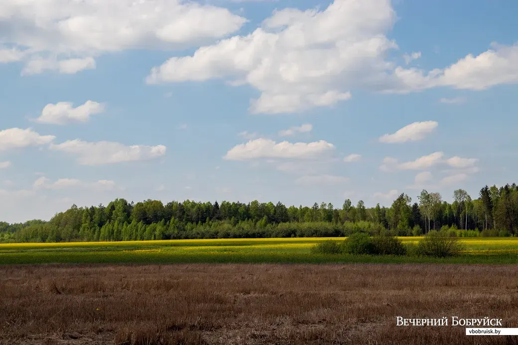 Майские этюды. Поселок Брожа и окрестности. Фото: Светлана Лебедева.
