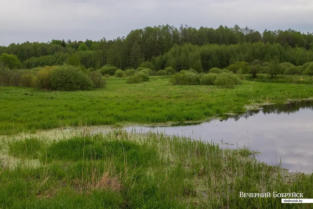 Майские этюды. Поселок Брожа и окрестности. Фото: Светлана Лебедева.
