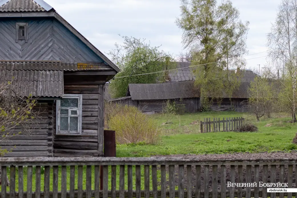 Майские этюды. Поселок Брожа и окрестности. Фото: Светлана Лебедева.
