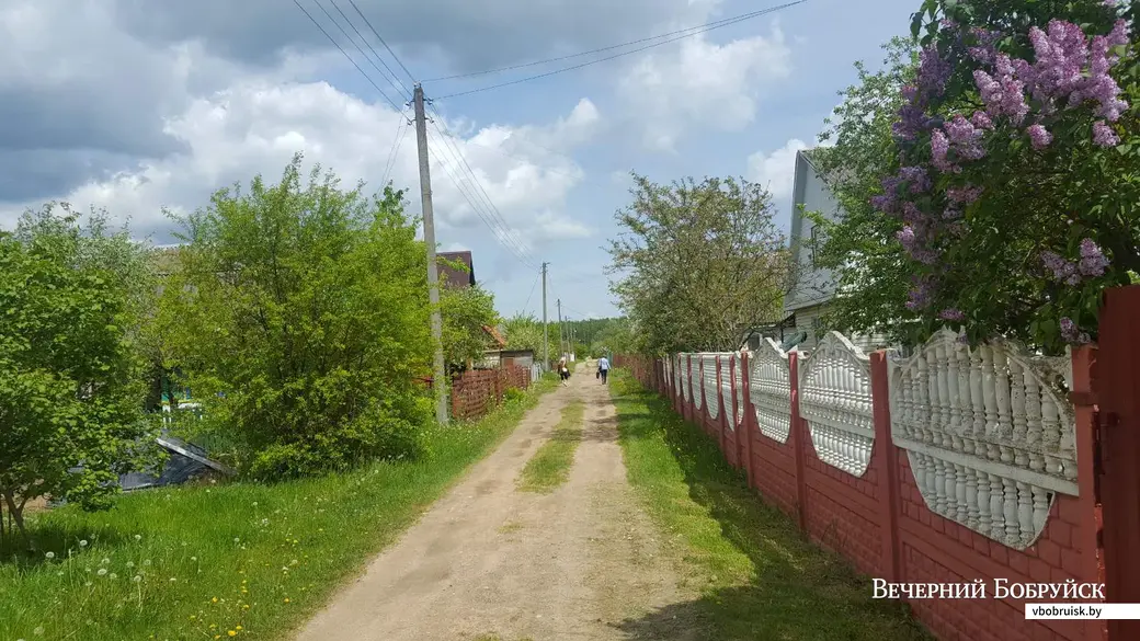 Дачи в Бабино-1.