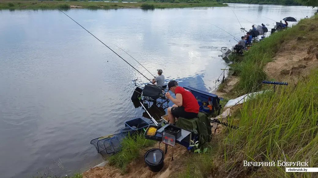 Суточный тандем по спортивному лову рыбы фидером. Бобруйск, 12.06.2021.