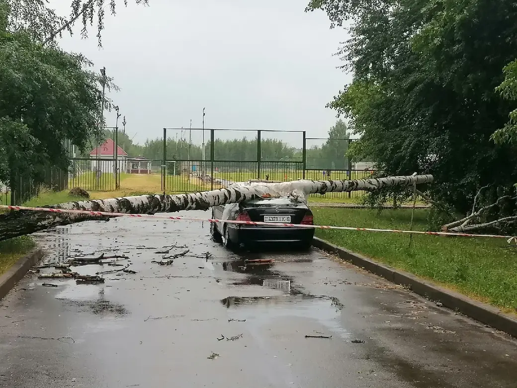 Ураган обрушился вечером 25 июня на Могилев. Последствия непогоды. Фото: Могилев Сейчас.