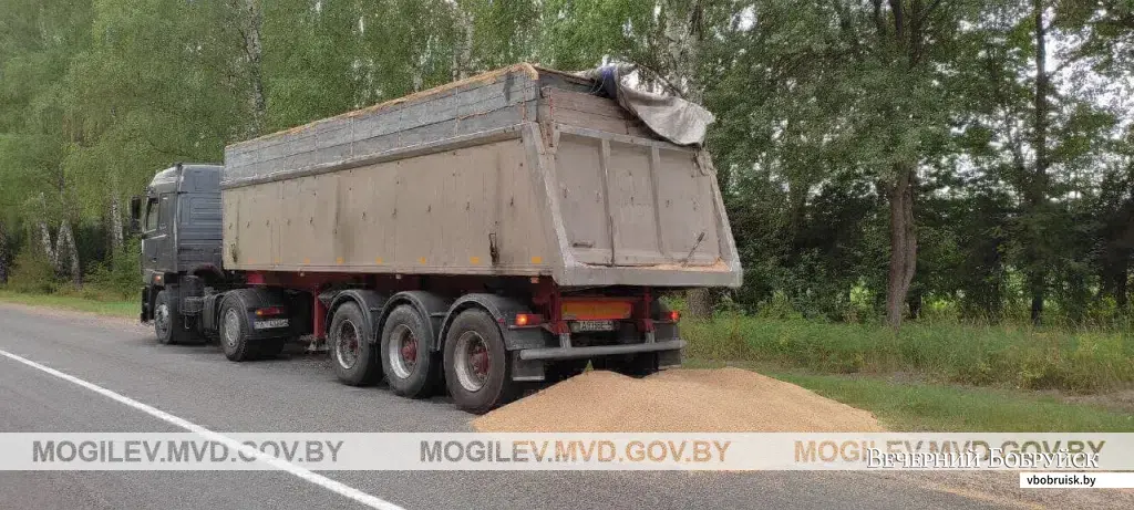 3,5 тонны зерна на дороге. В Осиповичском районе во время движения у МАЗа открылся борт