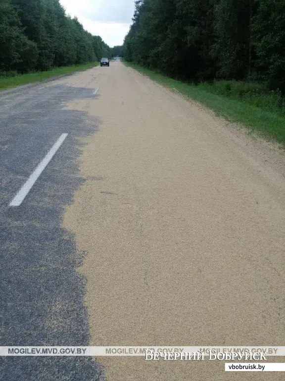 3,5 тонны зерна на дороге. В Осиповичском районе во время движения у МАЗа открылся борт