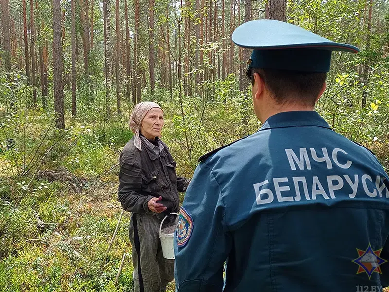 Спасатели и лесники провели рейд по ягодным местам Бобруйского района. Фото: МЧС.