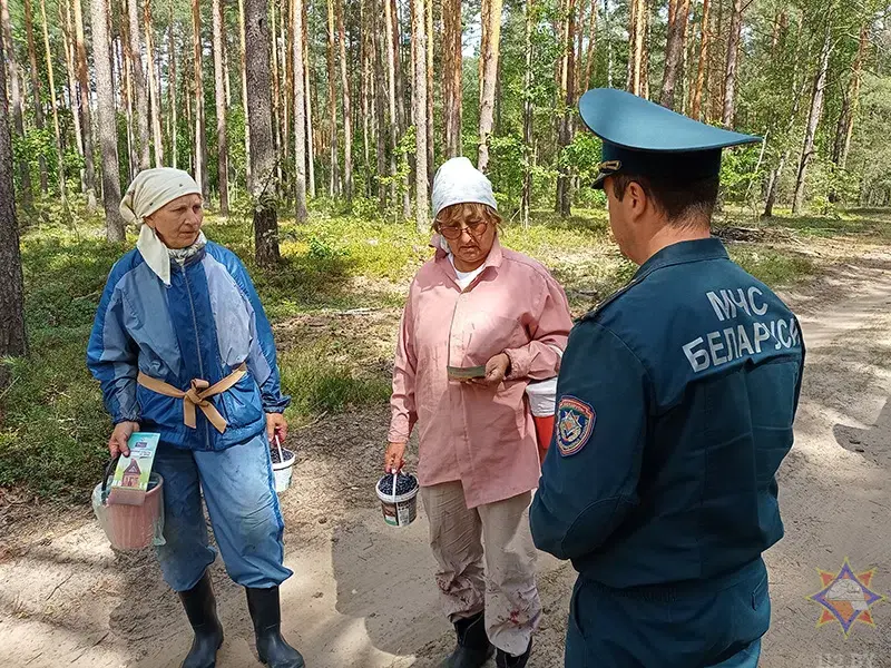 Спасатели и лесники провели рейд по ягодным местам Бобруйского района. Фото: МЧС.