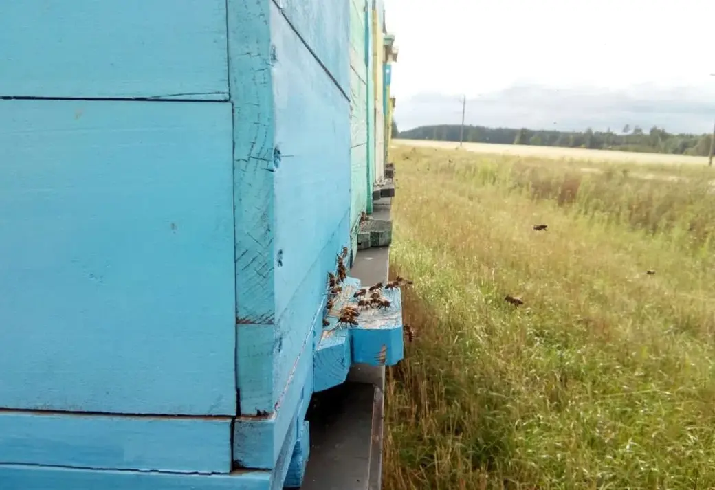 Фото Александра Врублевского.