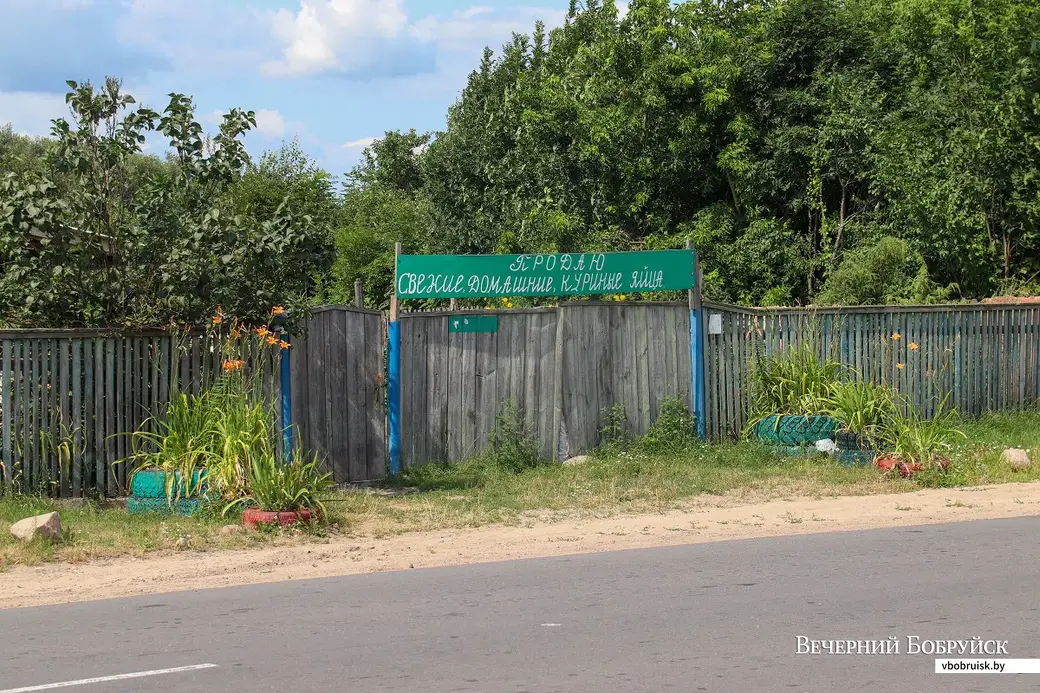 Бобруйский район. Поселок Брожа.