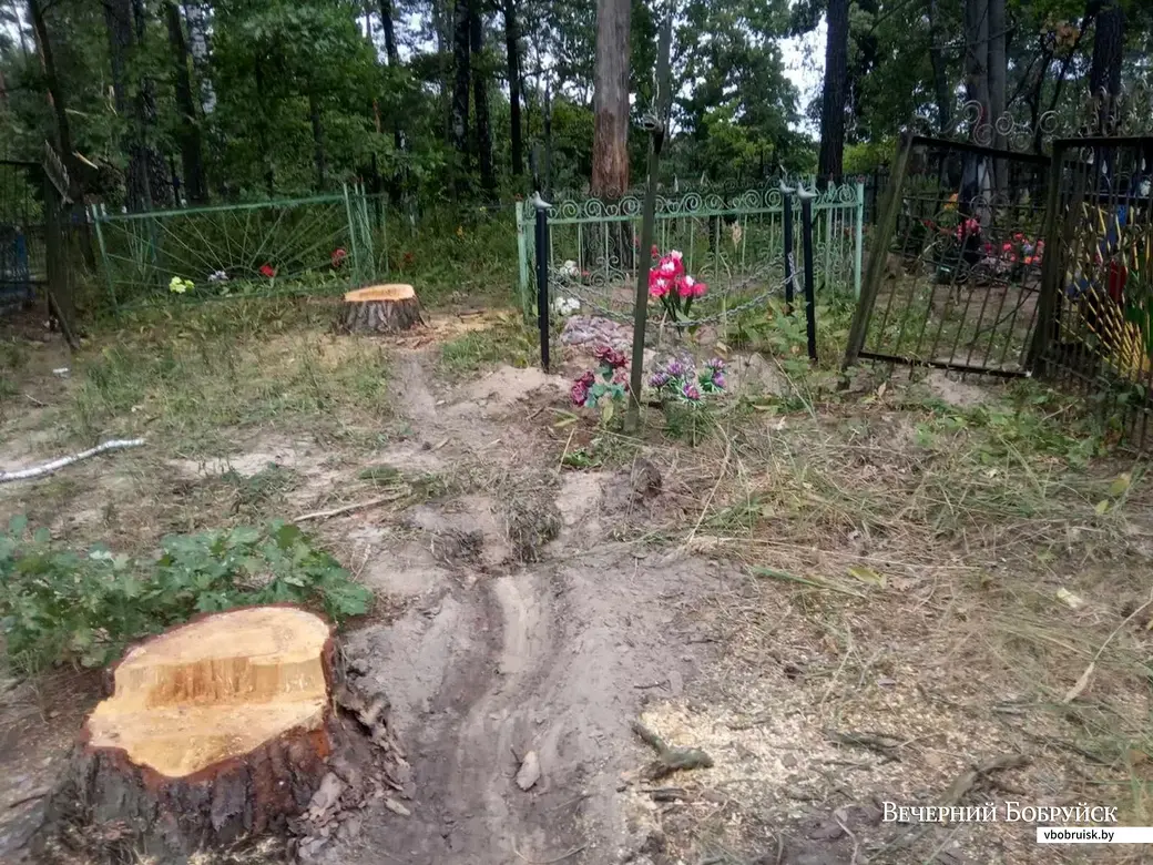 Кладбище в Ламбово во время работ по благоустройству. Фото читательницы
