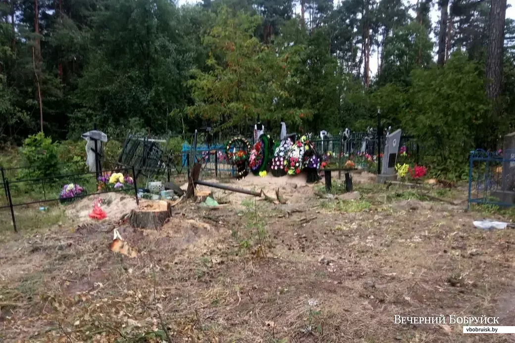 Кладбище в Ламбово во время работ по благоустройству. Фото читательницы
