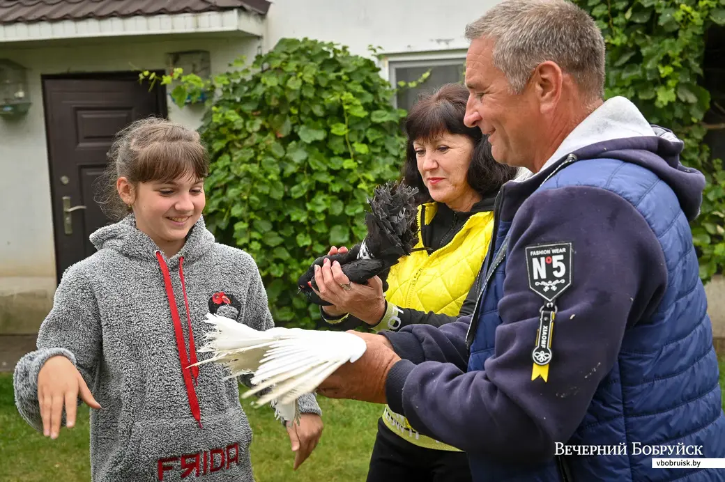 25.08.2021. Бобруйск. Супруги Елена и Александр Юшкевичи разводят декоративных птиц у себя во дворе. Фото Александра Чугуева.