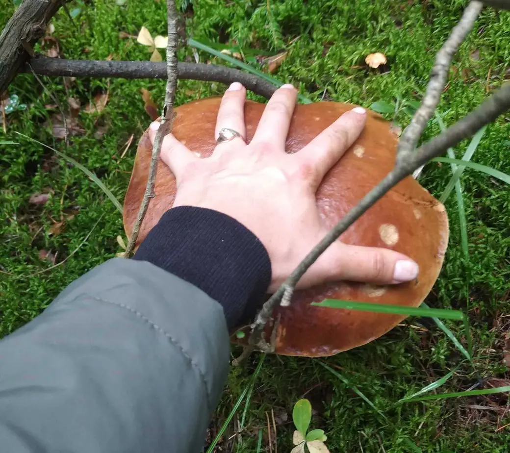 Фото Виолетты Шпадарук.