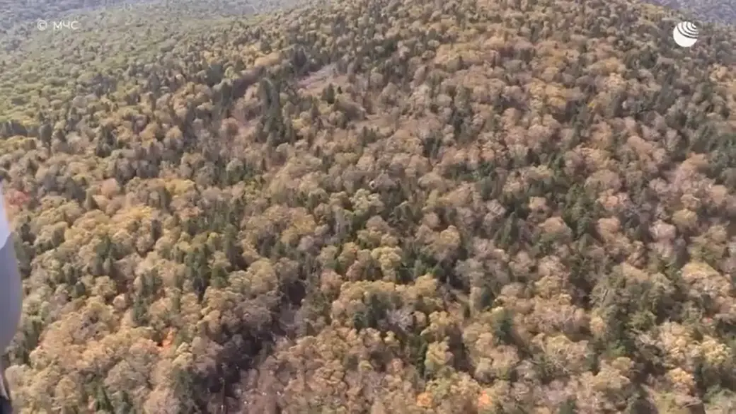 Скриншот видео РИА Новости