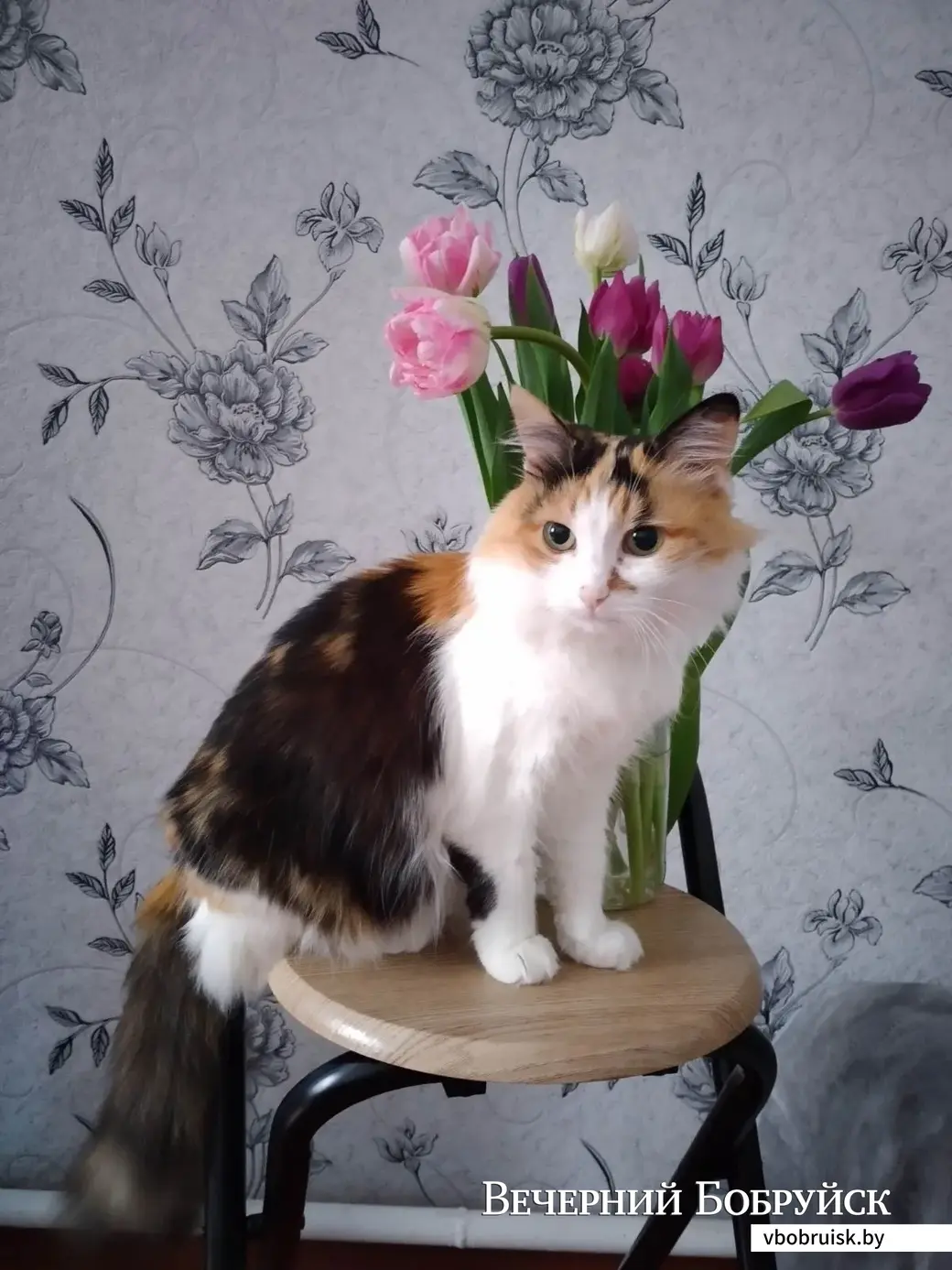 Люсия
