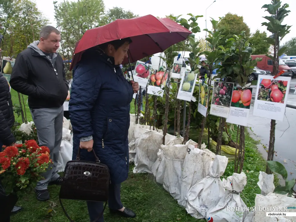 25.09.2021 г. Сельскохозяйственная ярмарка в Могилеве у парка аттракционов.
