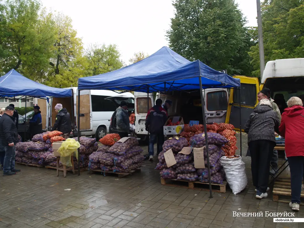 25.09.2021 г. Сельскохозяйственная ярмарка в Могилеве у парка аттракционов.