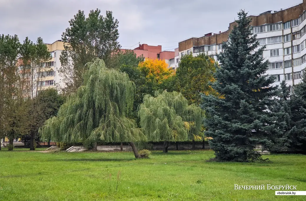 27.09.2021. Бобруйск. Улица Ульяновская