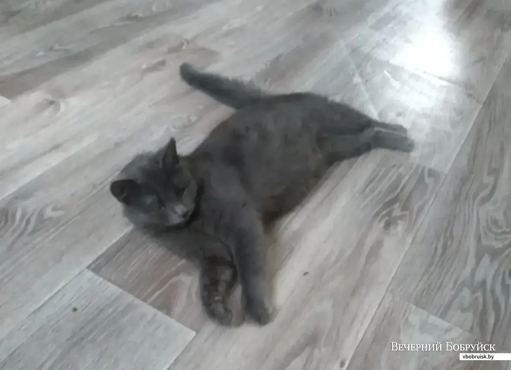 Соня