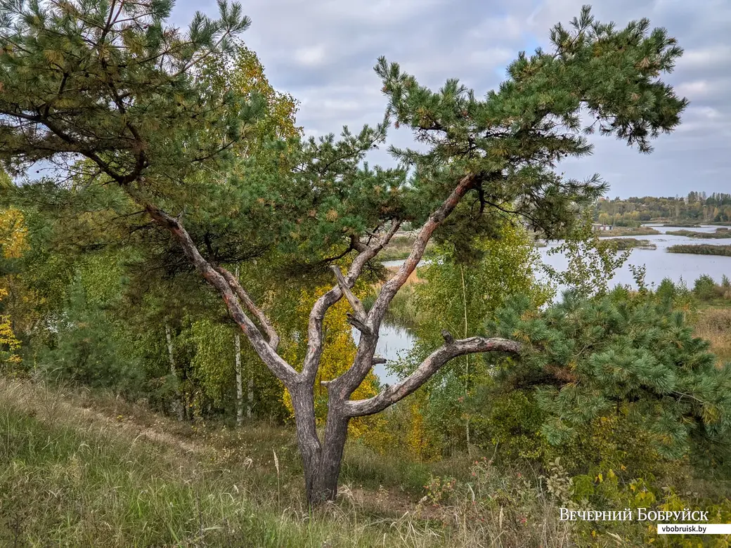 30.09.2021. Бобруйск. Микрорайон Киселевичи.