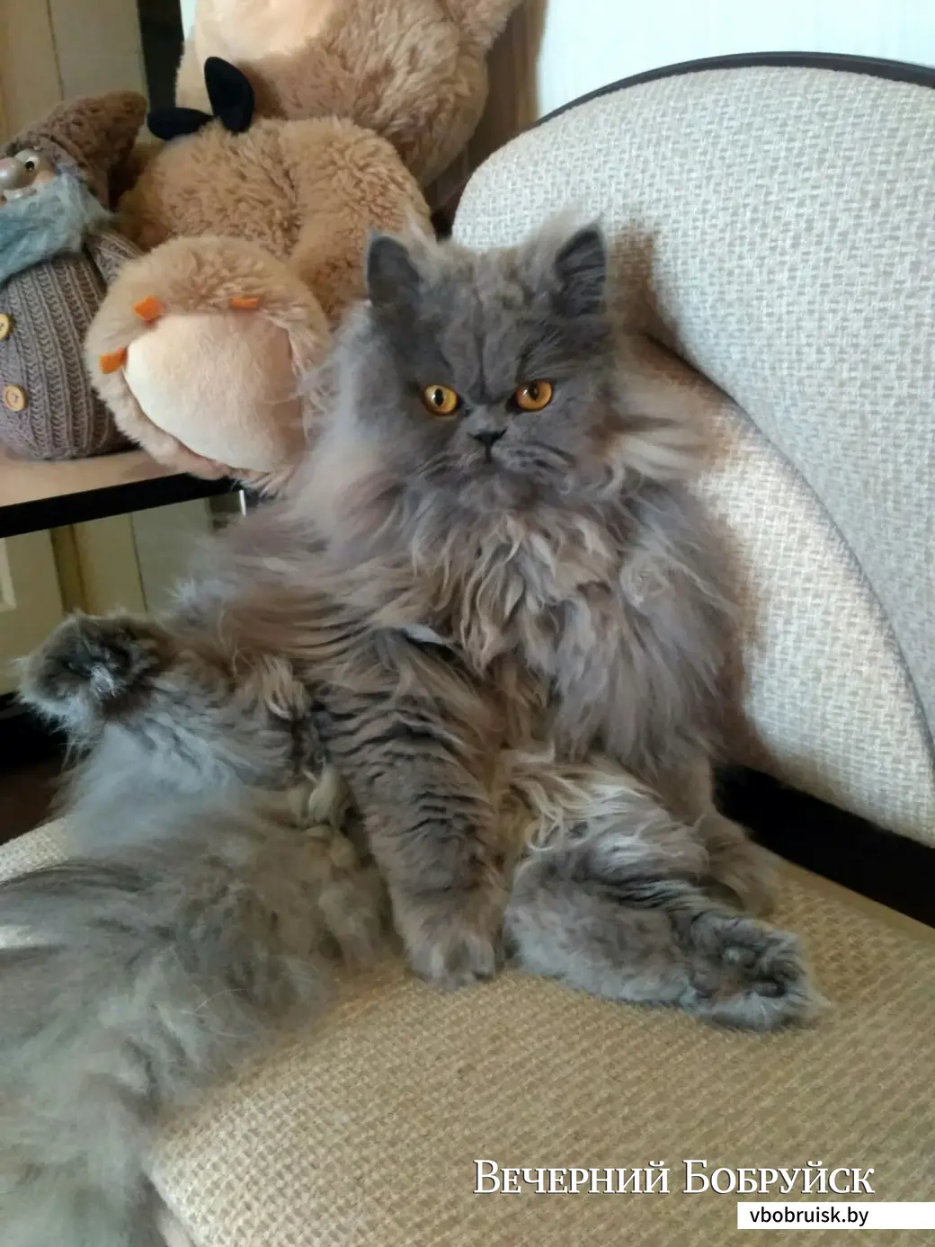Том