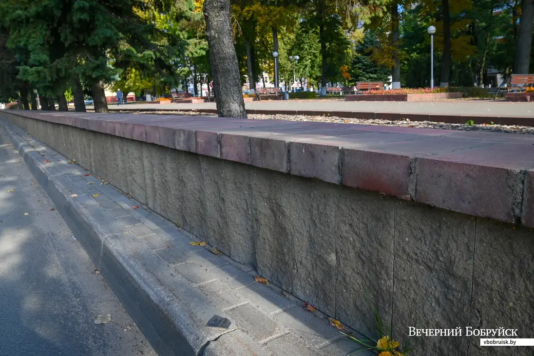 04.10.2021. Бобруйск. Ели на улице Минской в сквере «Трудовой славы»