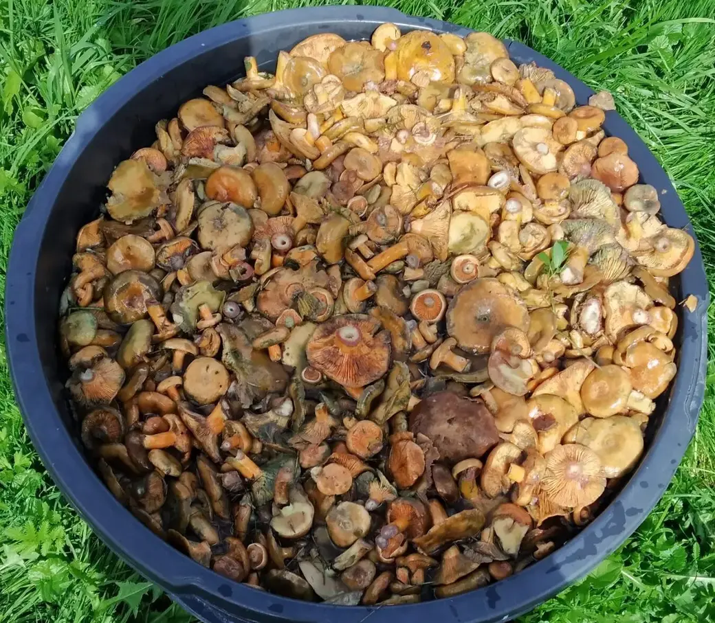 Фото Оксаны Галицкой из Минска .