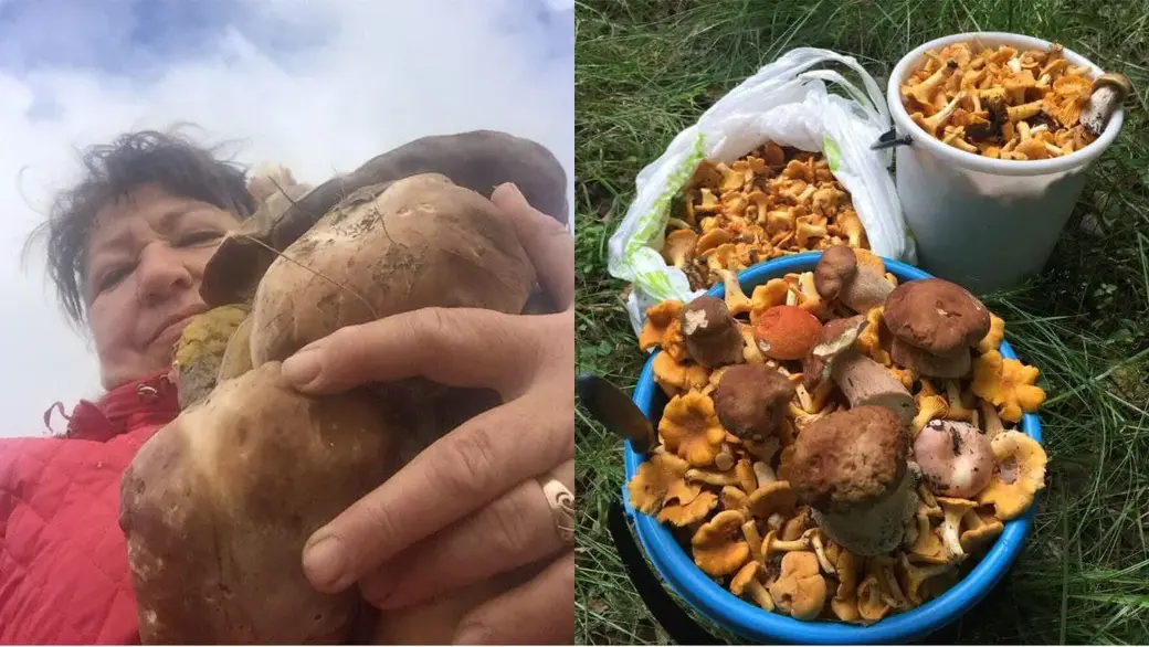 Фото Елены Шевструк.