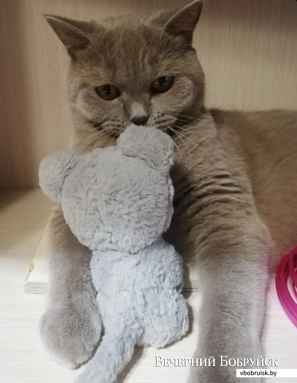 Мирон