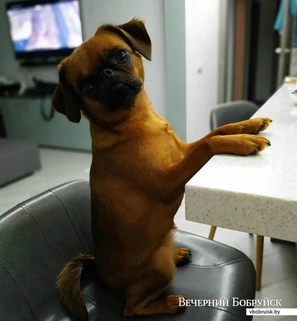 Джессика