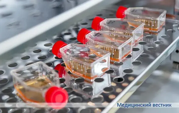Фото: Медицинский вестник
