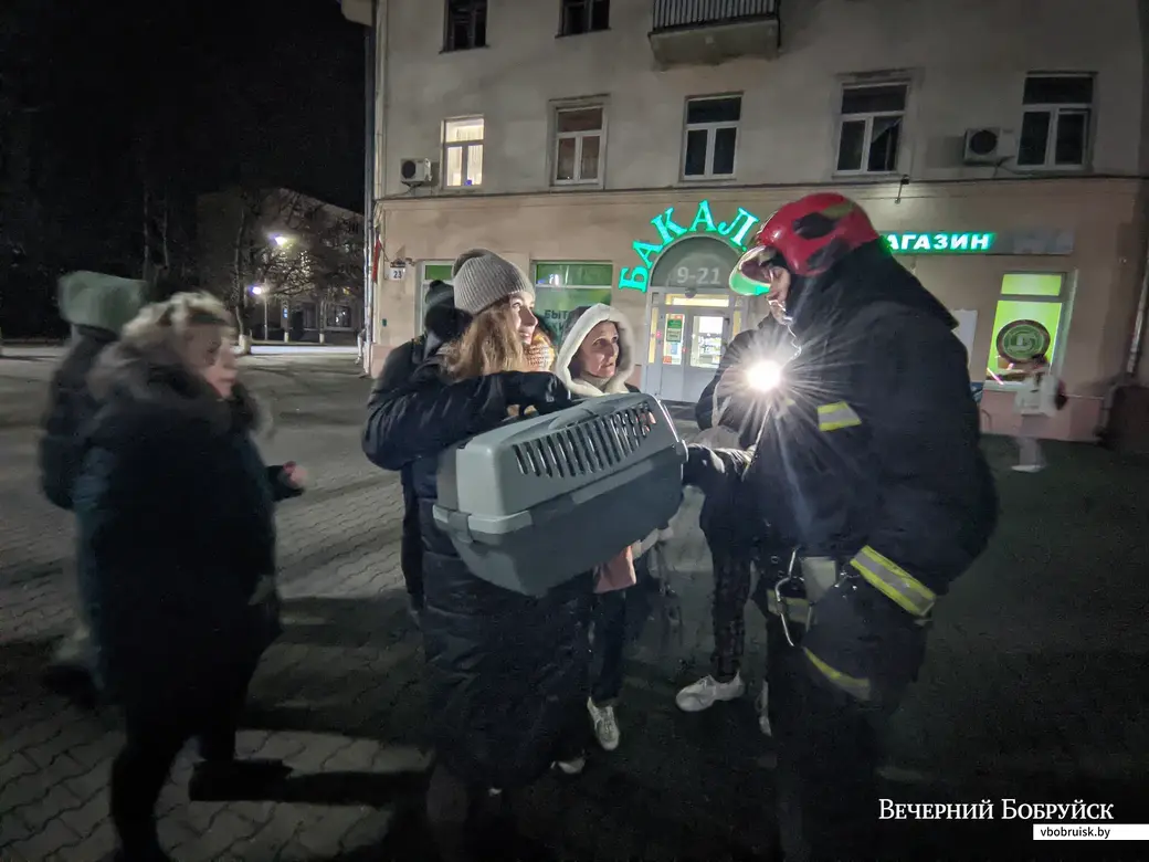 15.11.2021. Бобруйск. Спасатели ПАСЧ-4 выехали по вызову, чтобы снять котенка с дерева