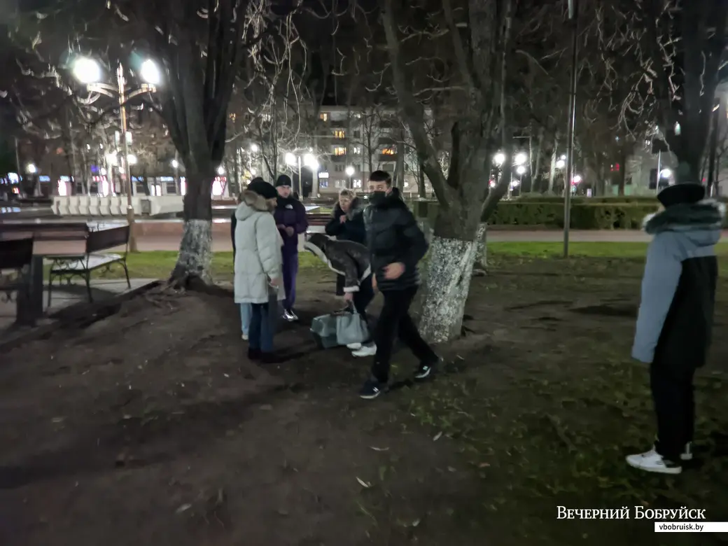 15.11.2021. Бобруйск. Спасатели ПАСЧ-4 выехали по вызову, чтобы снять котенка с дерева