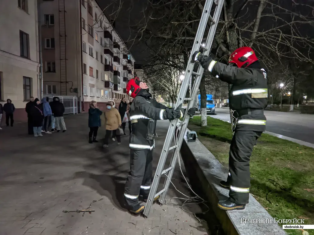 Дом мебели бобруйск на ул горького