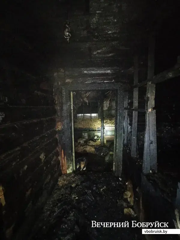 В Могилевском районе на пожаре спасен мужчина. 17.11.2021