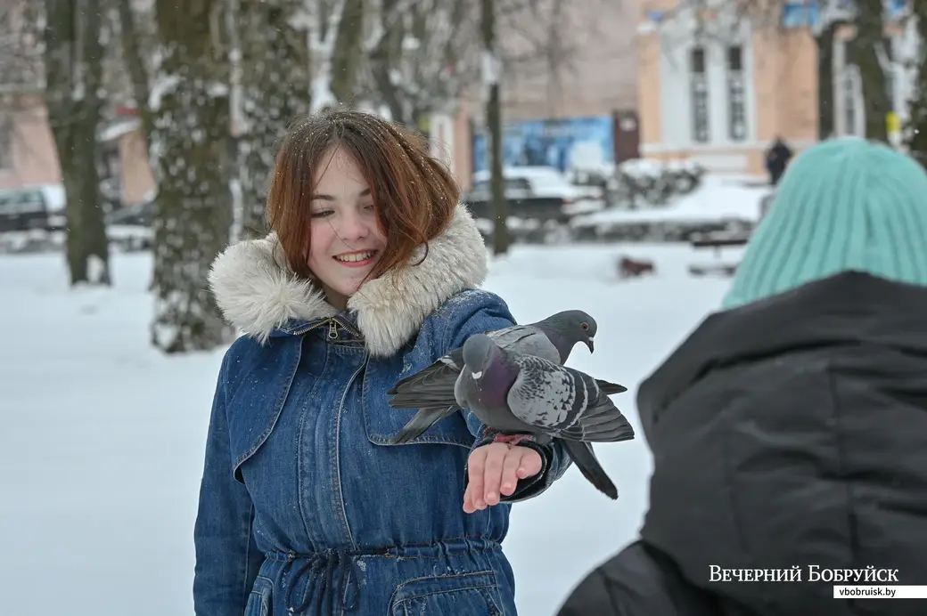 Помогите выжить птицам в холода! Фото: Александр ЧУГУЕВ из архива «ВБ».