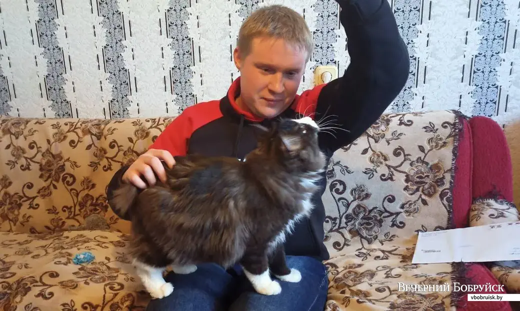 Питомцы Сергея Кудлача.