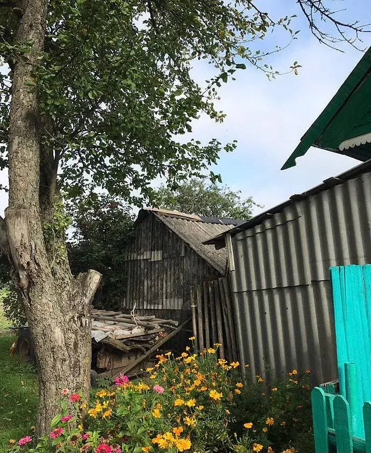Дом бабушки Раи, папиной мамы.