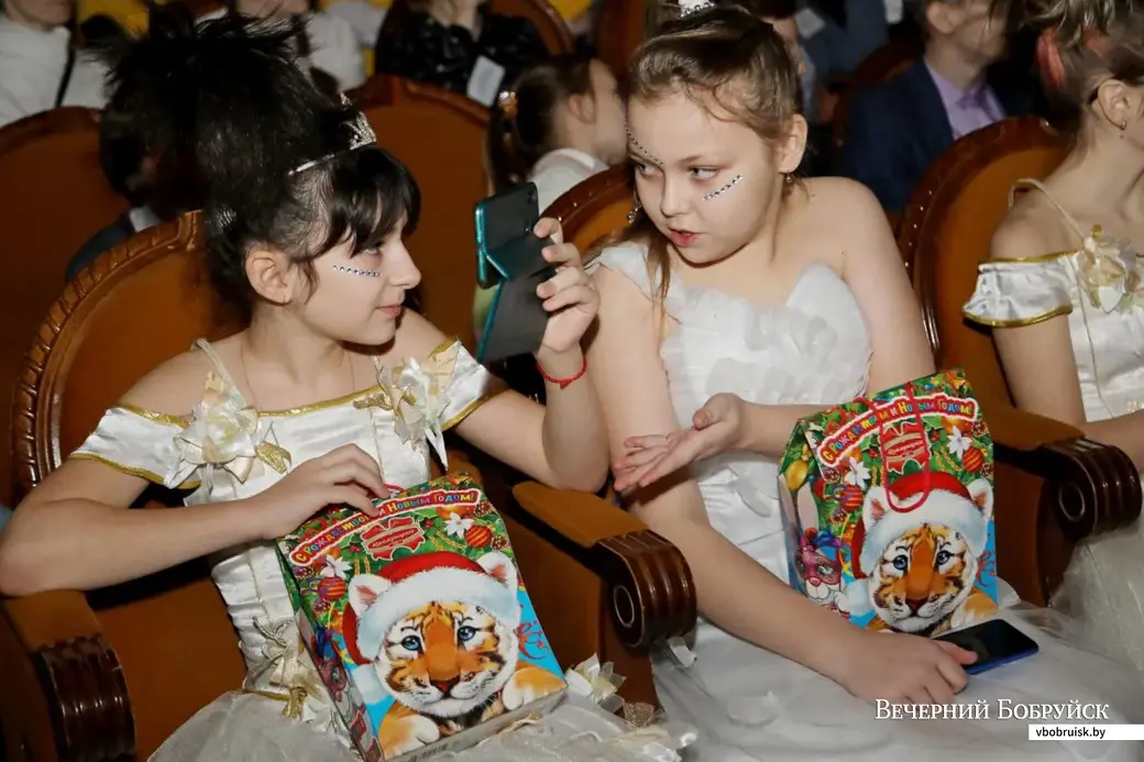 Городской благотворительный новогодний праздник во Дворце искусств Бобруйска. Фото: bobrlife.by.