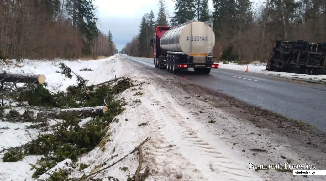 15 января 2022 года. На трассе Бобруйск-Могилев перевернулась фура, пытаясь объехать упавшее дерево.