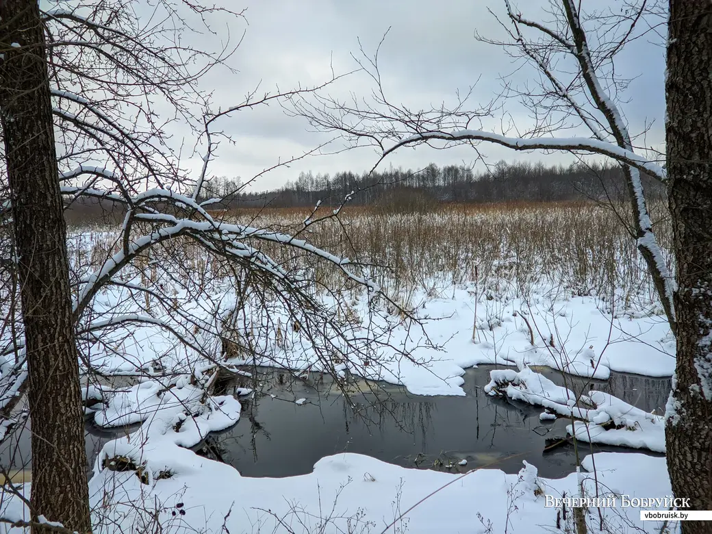 22.01.2022. Телушский сельский Совет. Зимний пешеходный поход по Дубовскому каскаду озер участников велосипедного интернет-сообщества и туристов клуба «Родина» ОАО