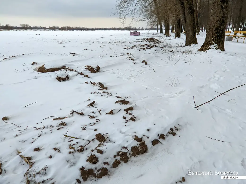 24.01.2022. Бобруйск. Лыжная трасса возле санатория имени В.И.Ленина и городского пляжа