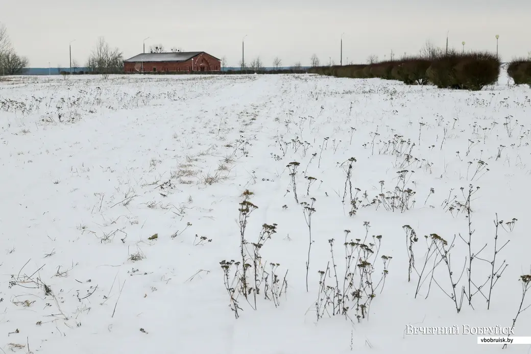 24.01.2022. Бобруйск. Лыжная трасса возле «Бобруйск-Арены»