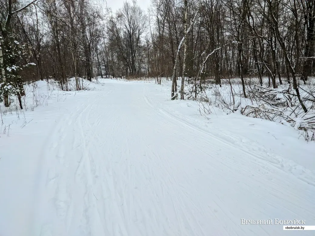 25.01.2022. Бобруйск. Лыжная трасса в Киселевичах