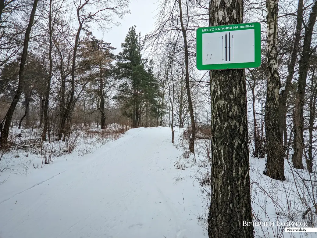 25.01.2022. Бобруйск. Лыжная трасса в Киселевичах