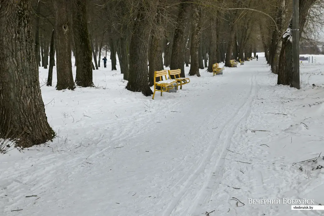 24.01.2022. Бобруйск. Лыжная трасса возле санатория имени В.И.Ленина и городского пляжа
