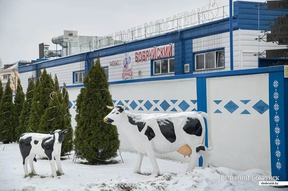 20.01.2022. Бобруйск. Филиал «Бобруйский» ОАО «Бабушкина крынка»